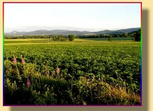 COUNTRY SPA        